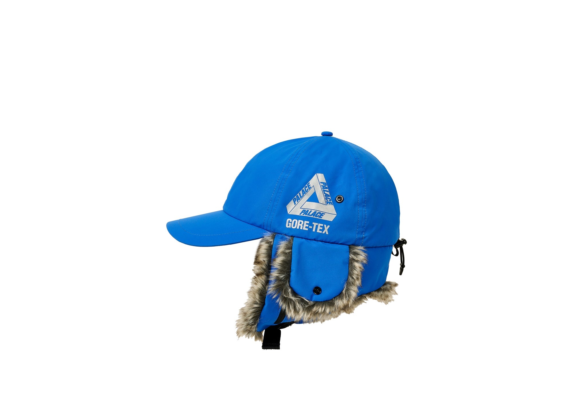 PALACE GORE-TEX DOG EAR 6-PANEL CAP-