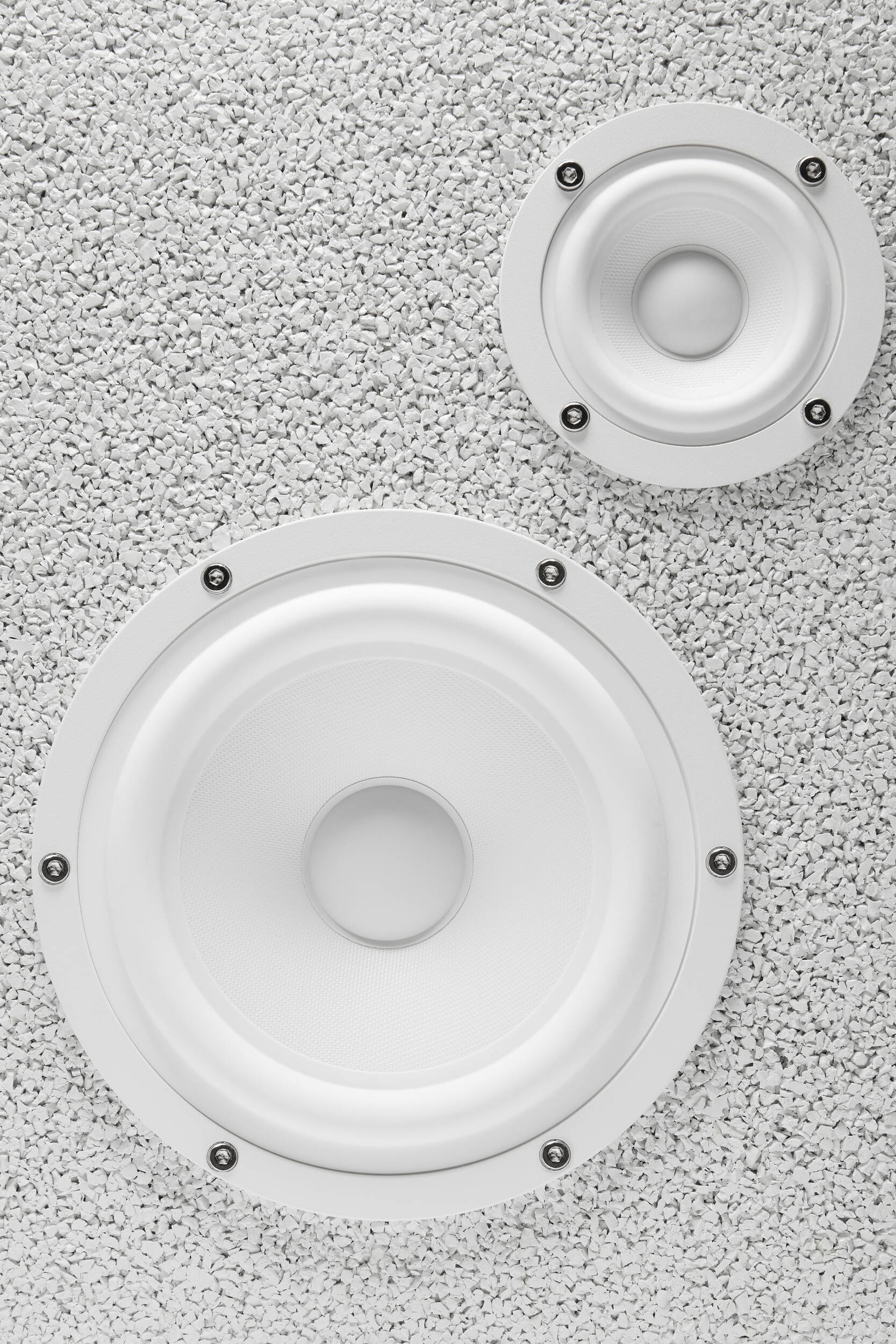 Sole Speaker - 4