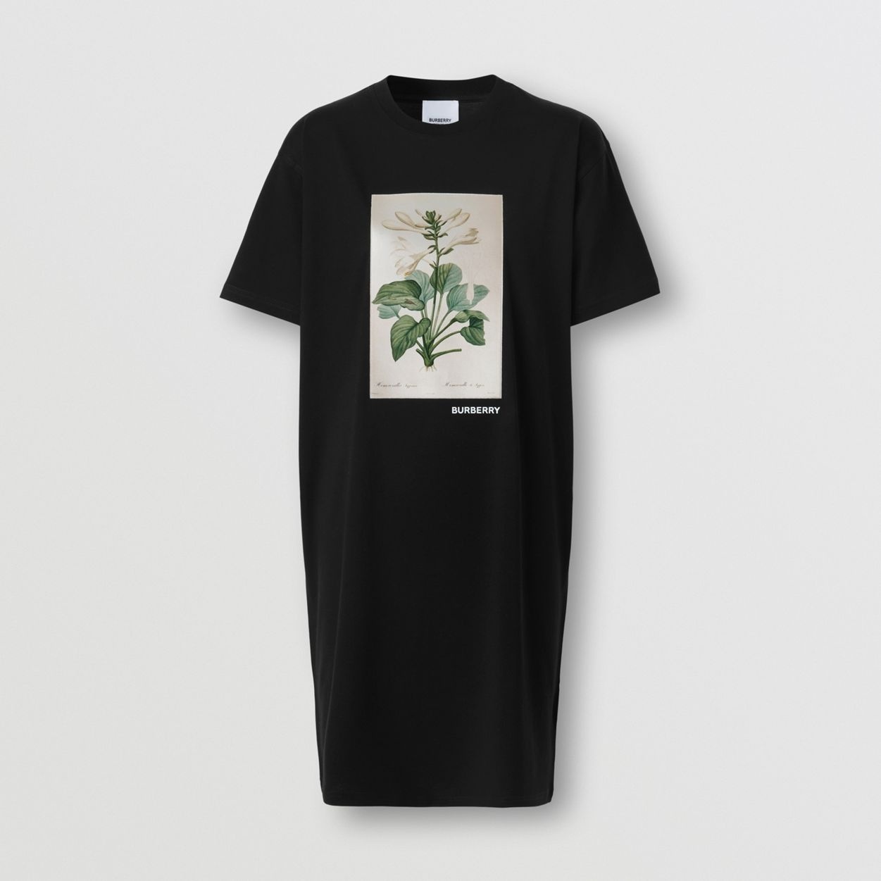 Botanical Sketch Print Cotton T-shirt Dress - 1