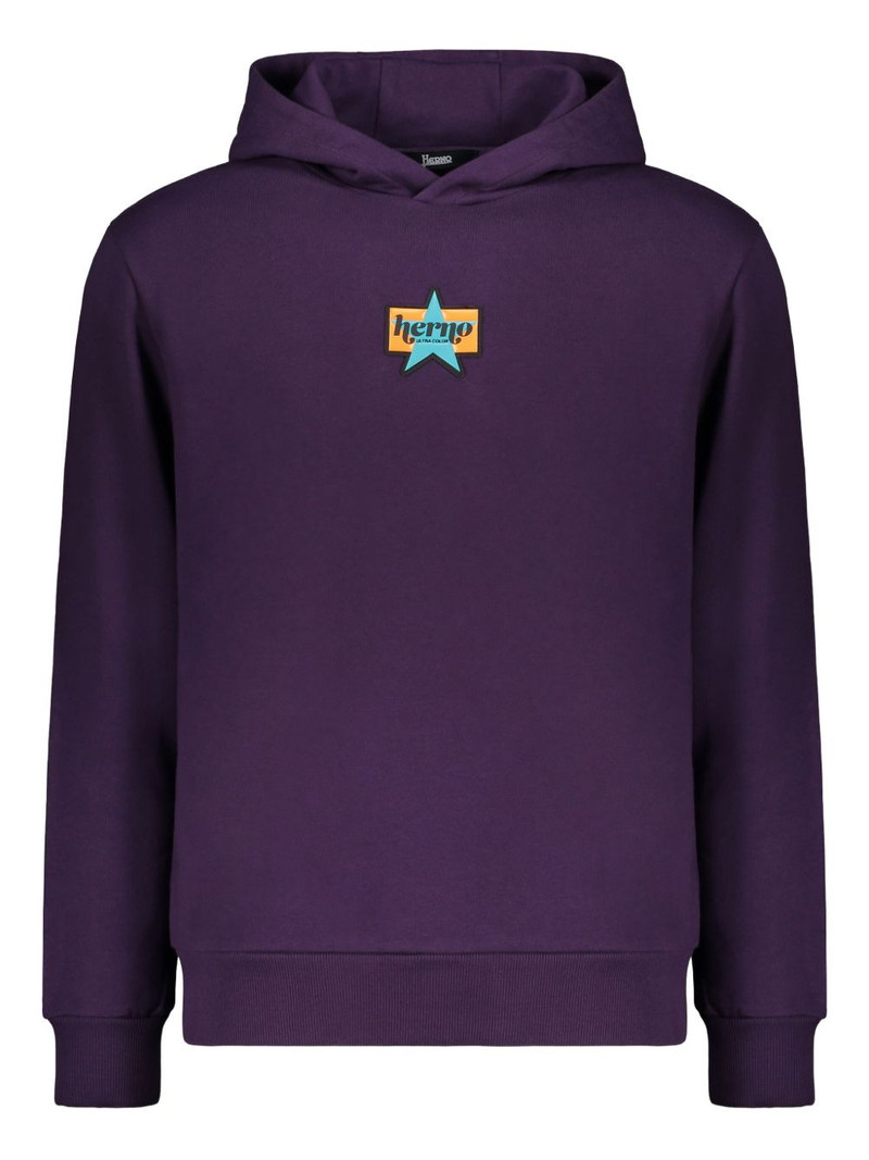 star-embroidered hoodie 1
