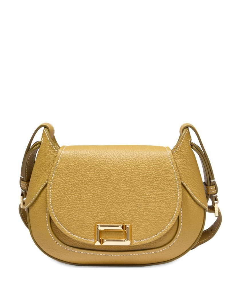 Paulette Saddle crossbody bag 1