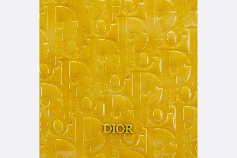 Dior Boxy Bag with Strap 6