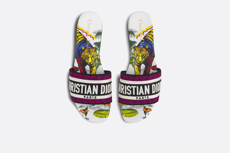 Dior Dway Slide outlook