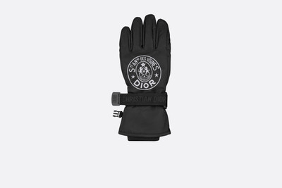 Dior Dior Union Ski Gloves outlook