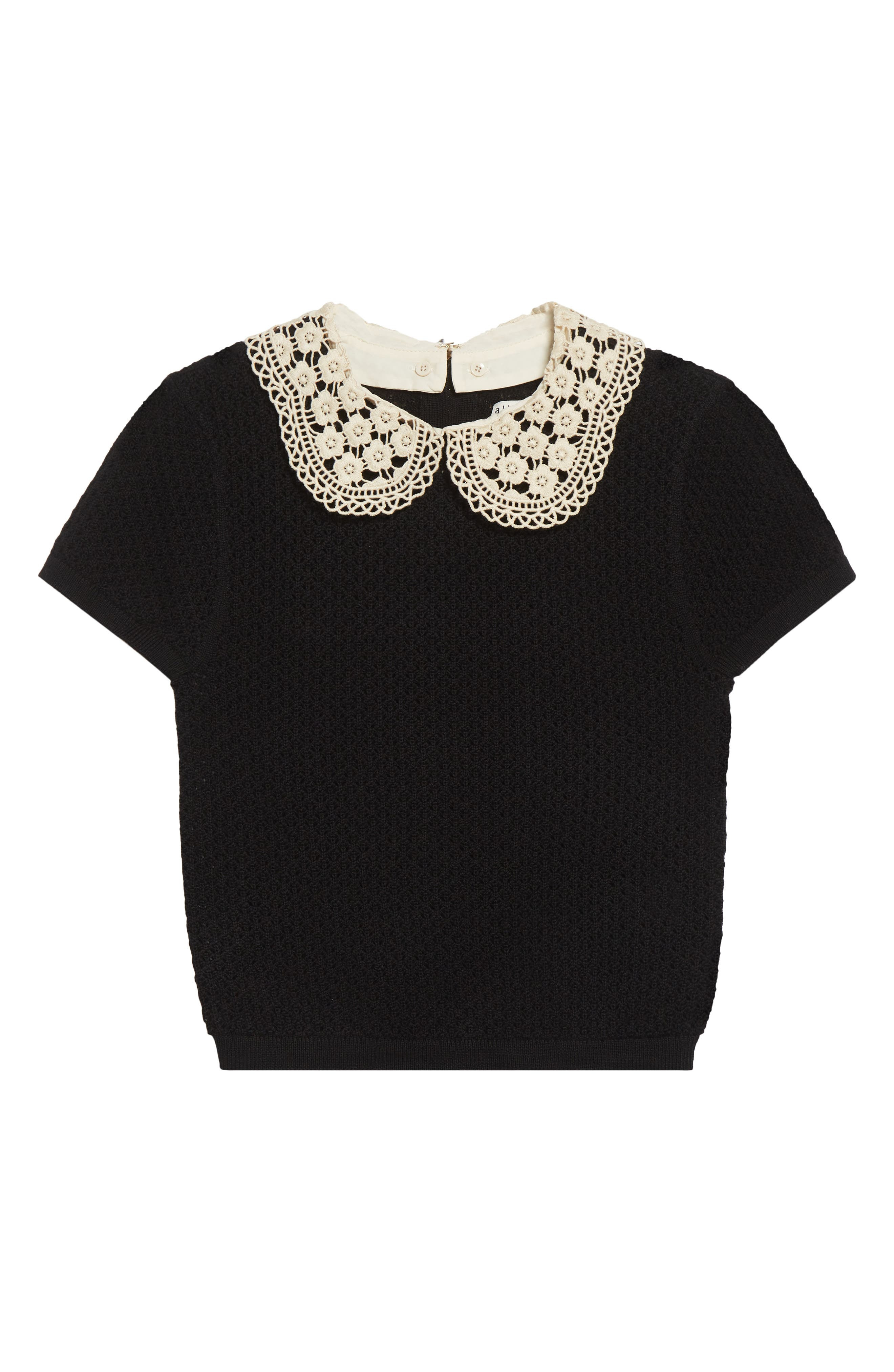 Alice + Olivia Ciara Lace Collar Short Sleeve Wool Blend Sweater in Black at Nordstrom - 6