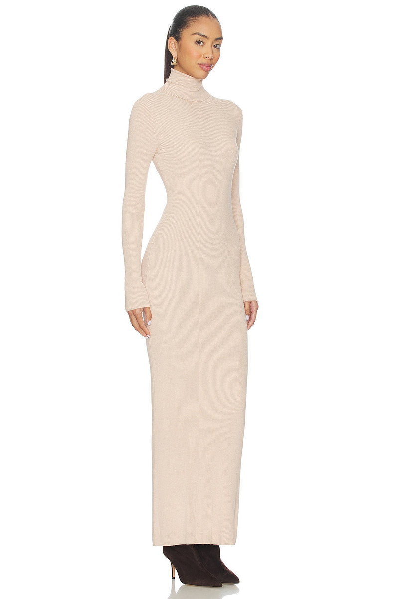 Turtleneck Dress 2