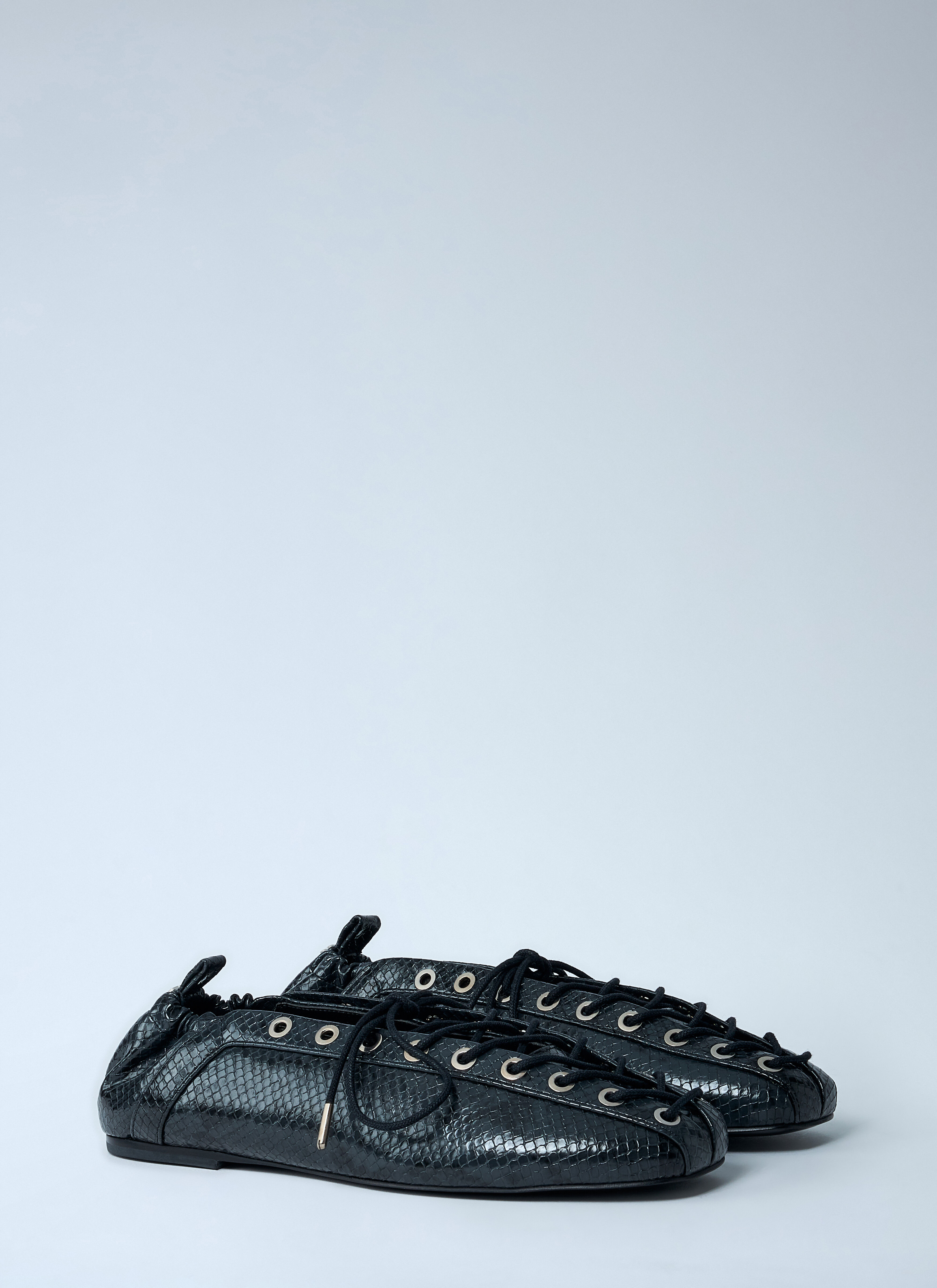 Eyelet Lace-Up Ballerina Flats - 2