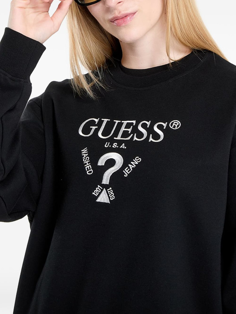 embroidered sweatshirt 4
