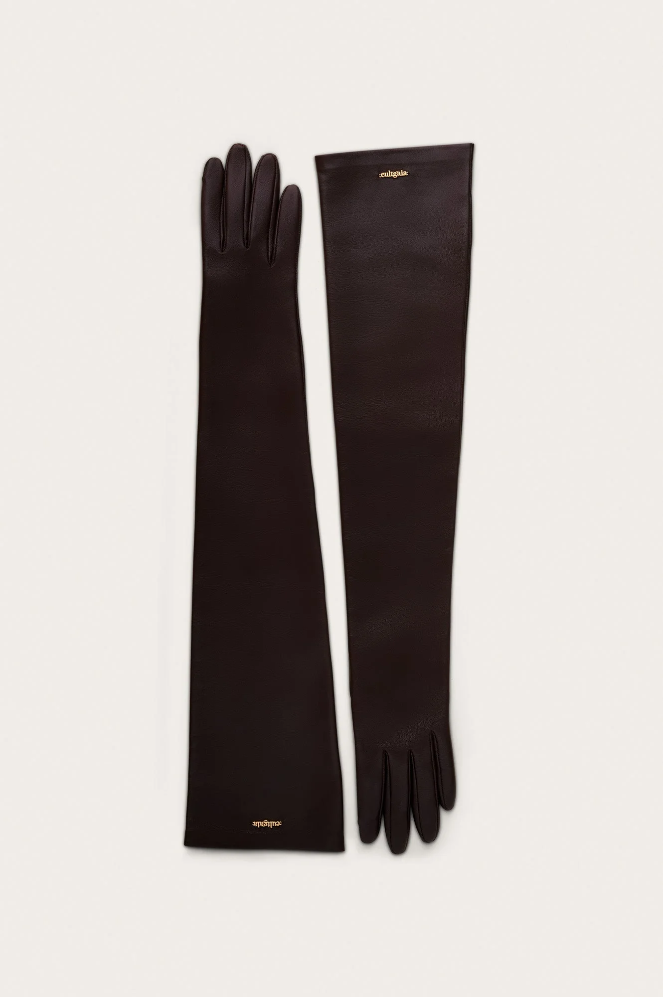 ZYA GLOVE - 1