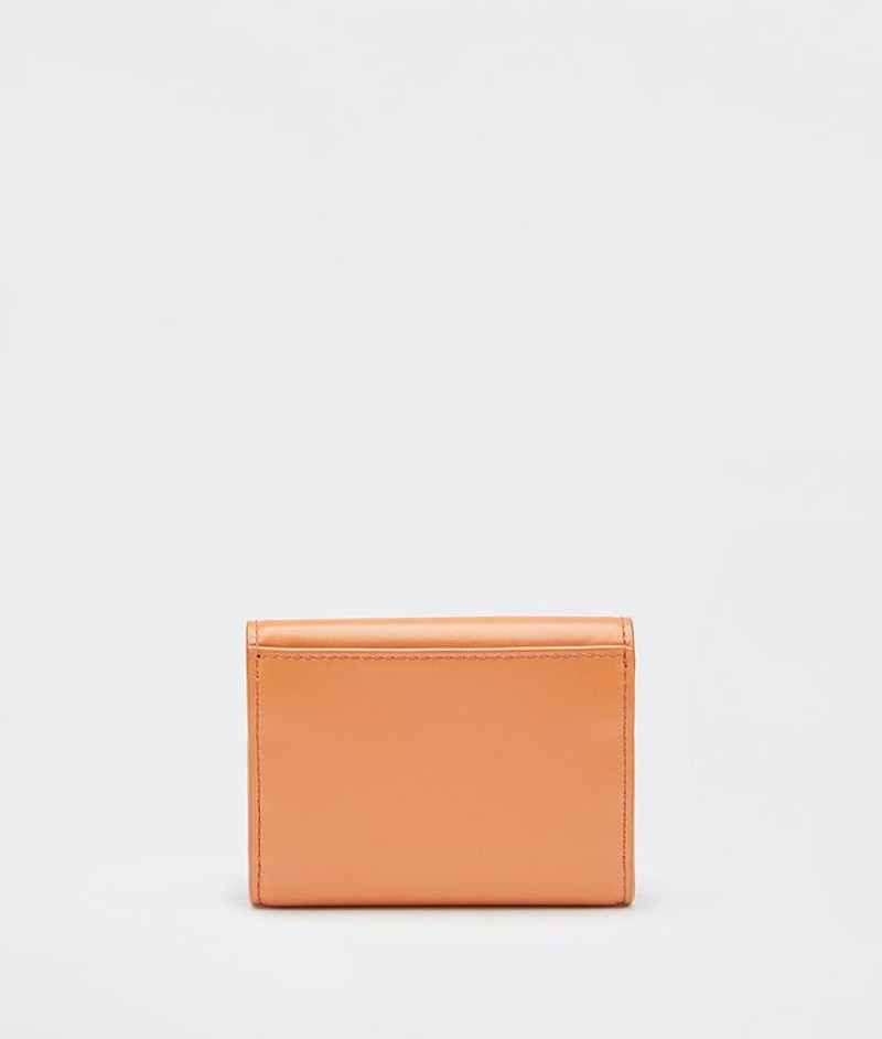 Bottega Veneta MINI BAG outlook