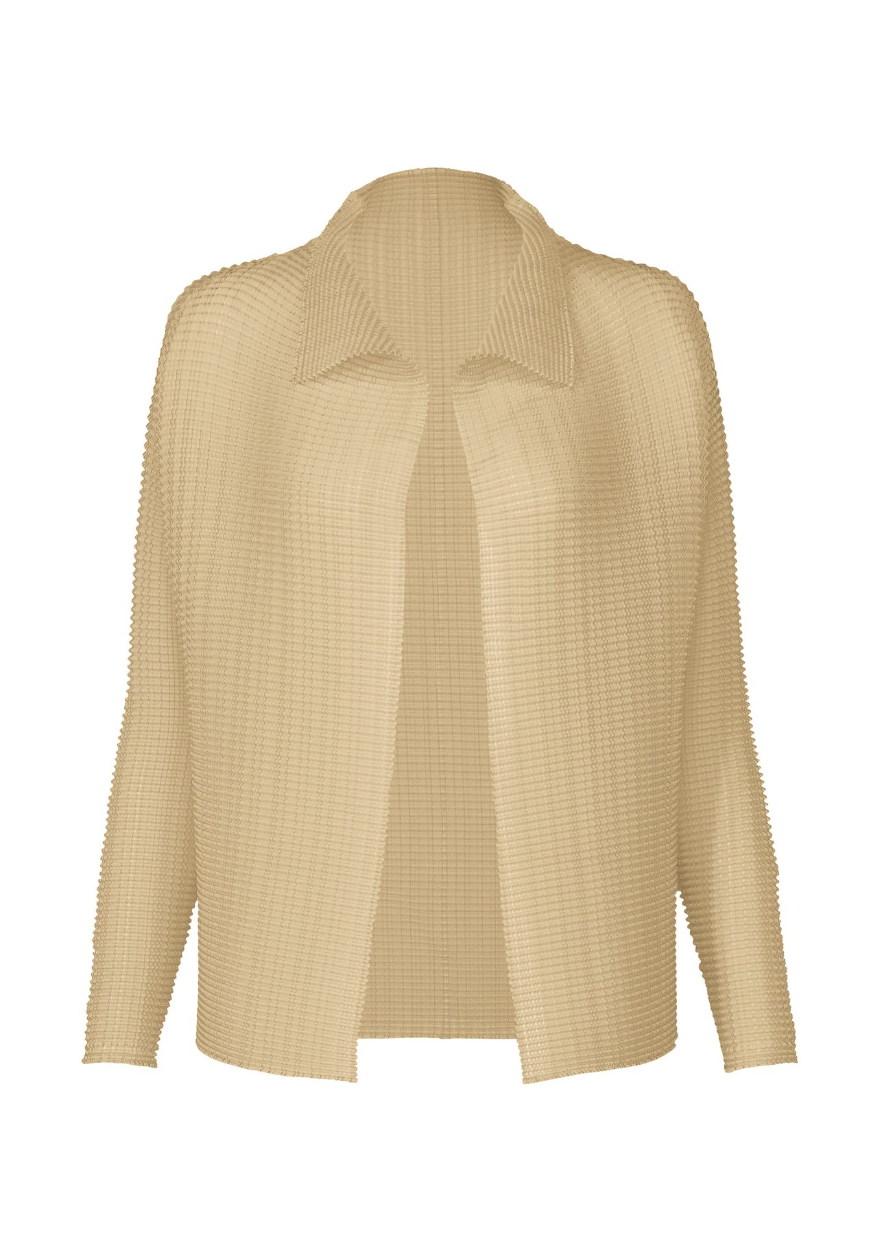 WOOLY PLEATS-38 TOP - 1