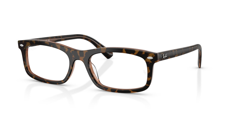 RB5450 OPTICS 1