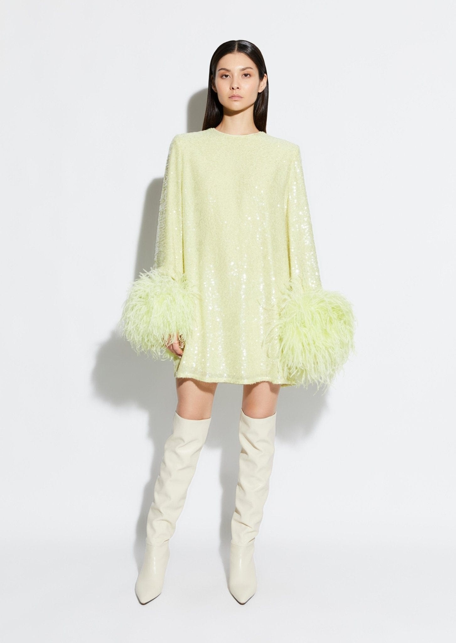 Sequin Dress With Feathers - 2