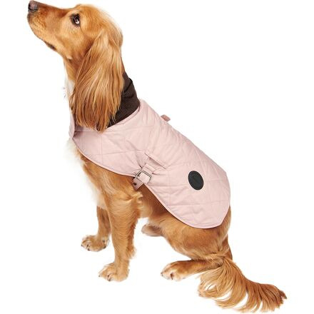 Quilted Dog Coat - 4