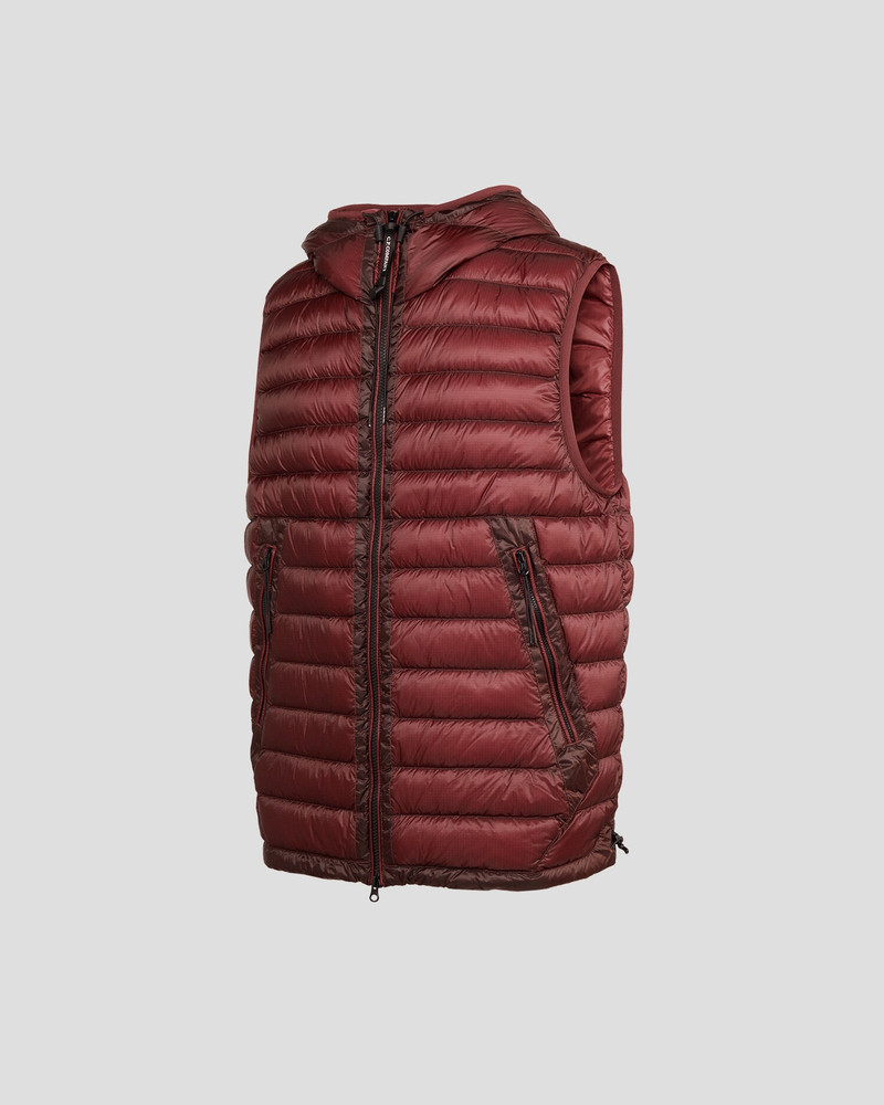 D.D. Shell Goggle Down Vest 8