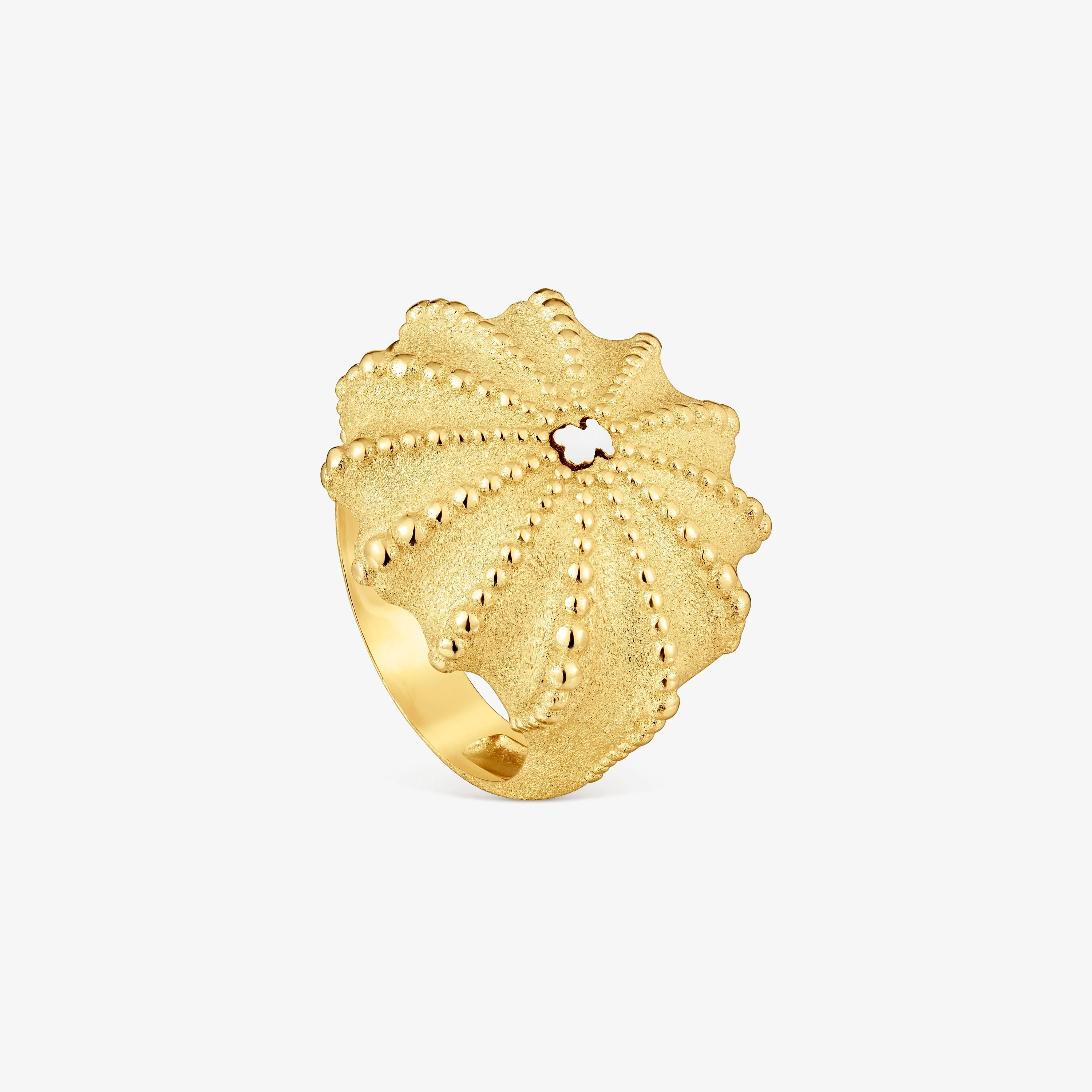 Two-tone Signet ring TOUS Grain Arrecife de Coral - 1