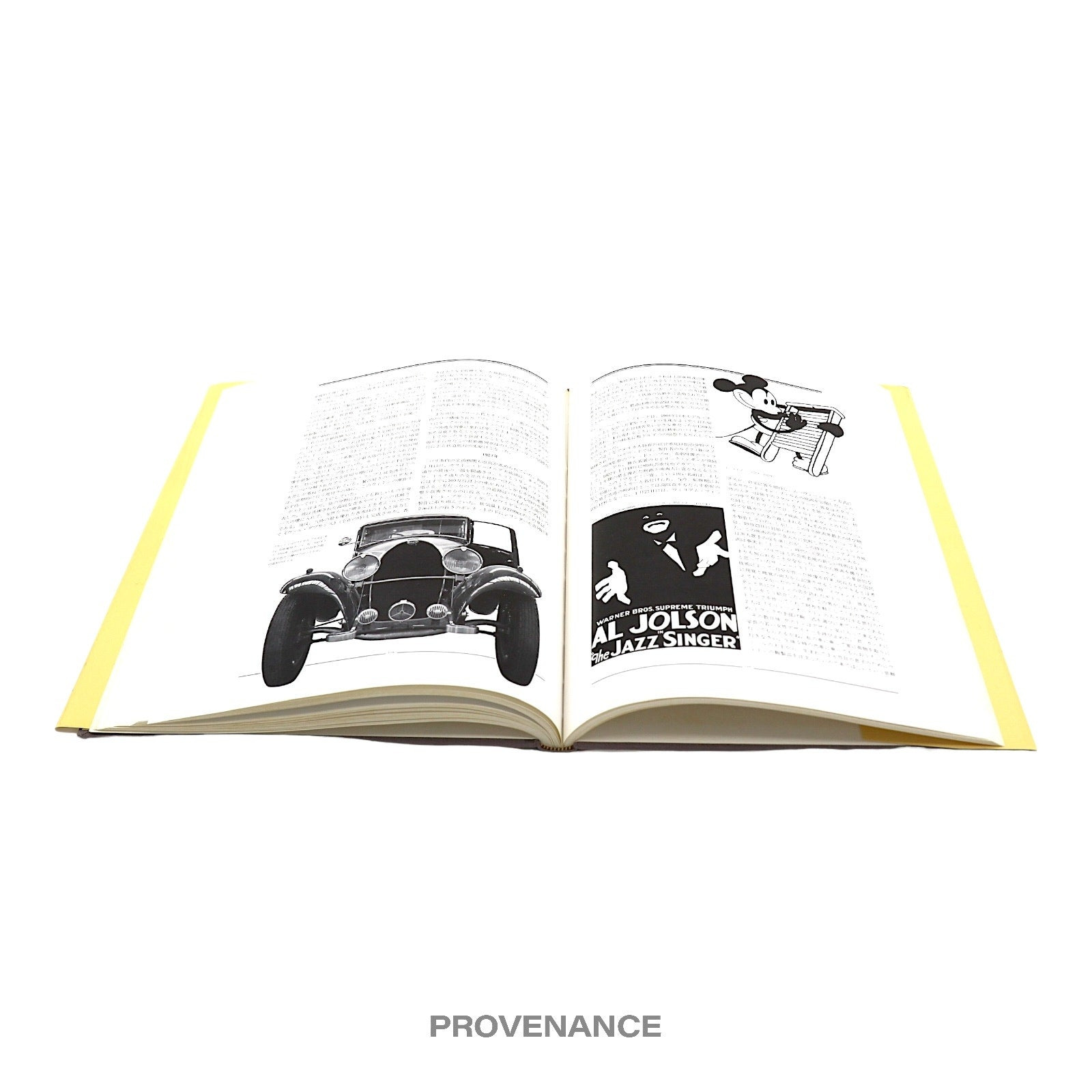Louis Vuitton "LAMALLE AUX SOUVENIRS" Book - 10