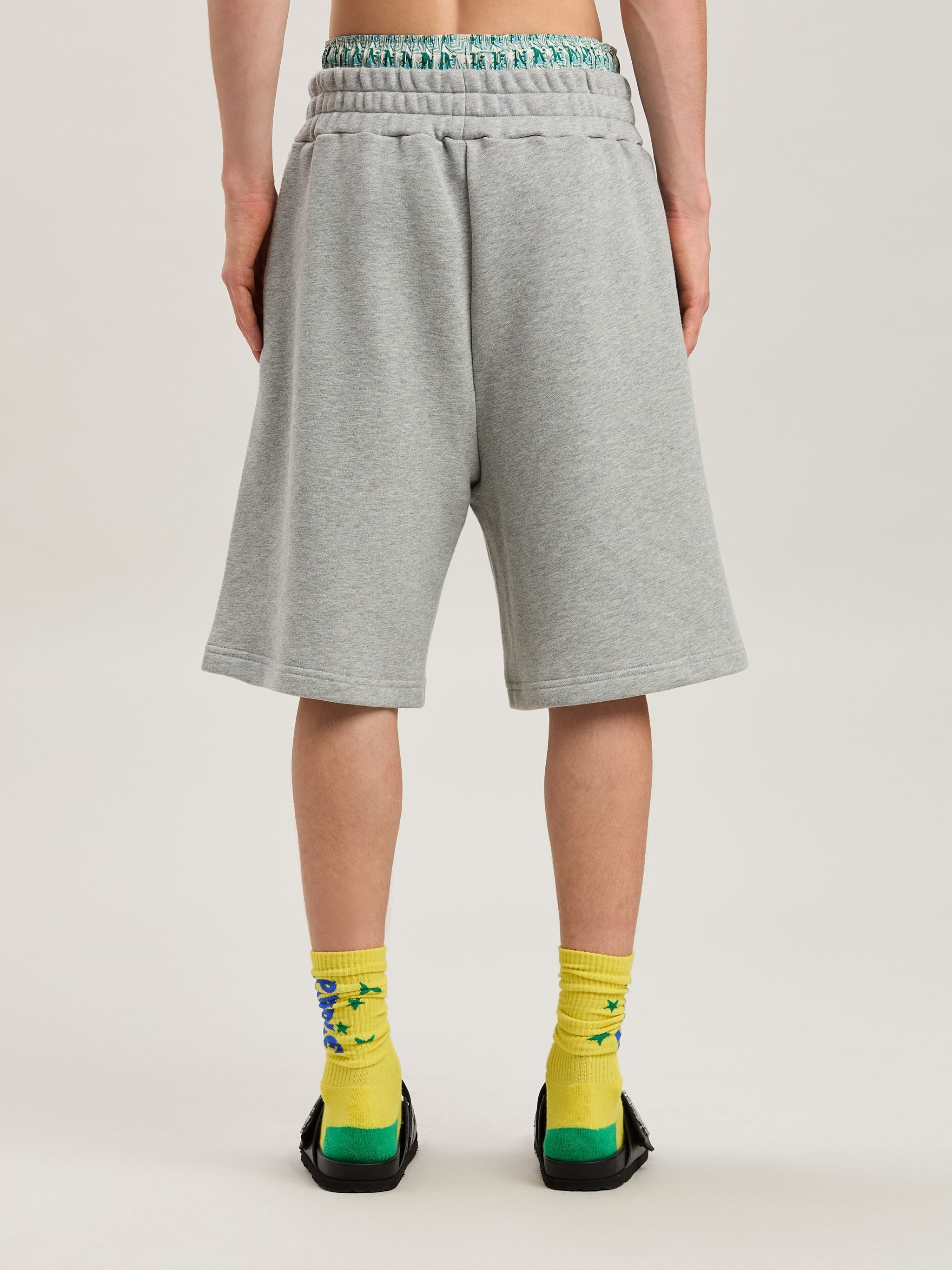 College Palm Shorts - 5