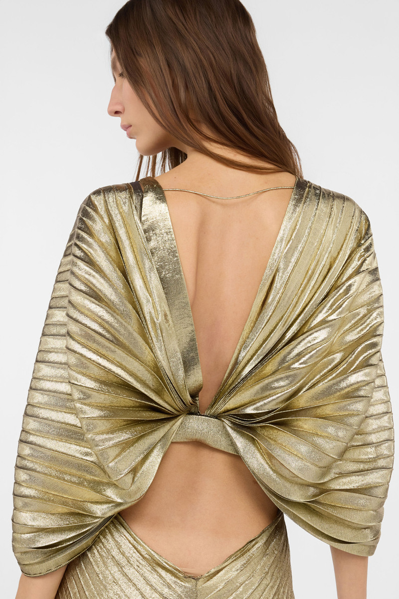 Gold Maxi Dress with Ray Of Gold Motif 7