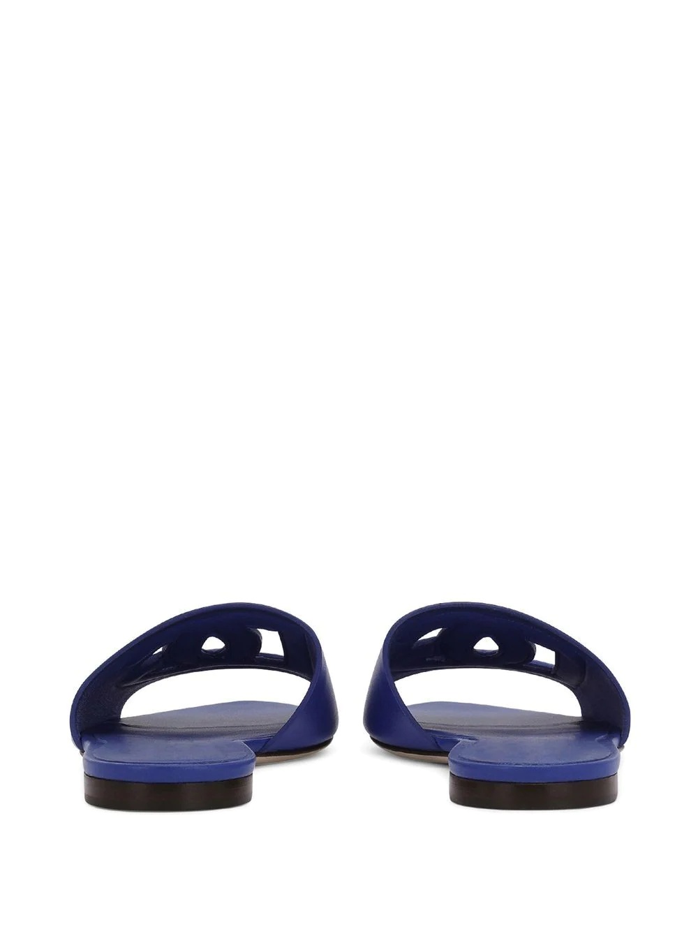 DG logo slides - 3
