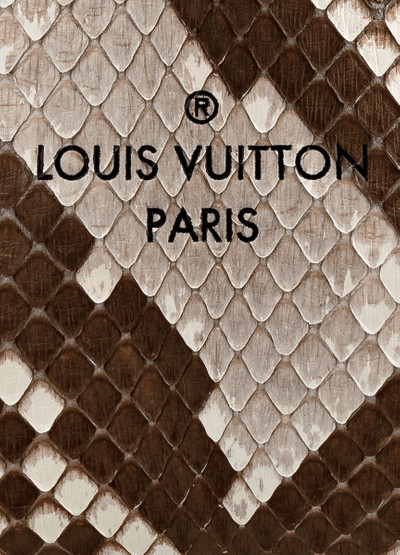 Louis Vuitton Surène BB outlook