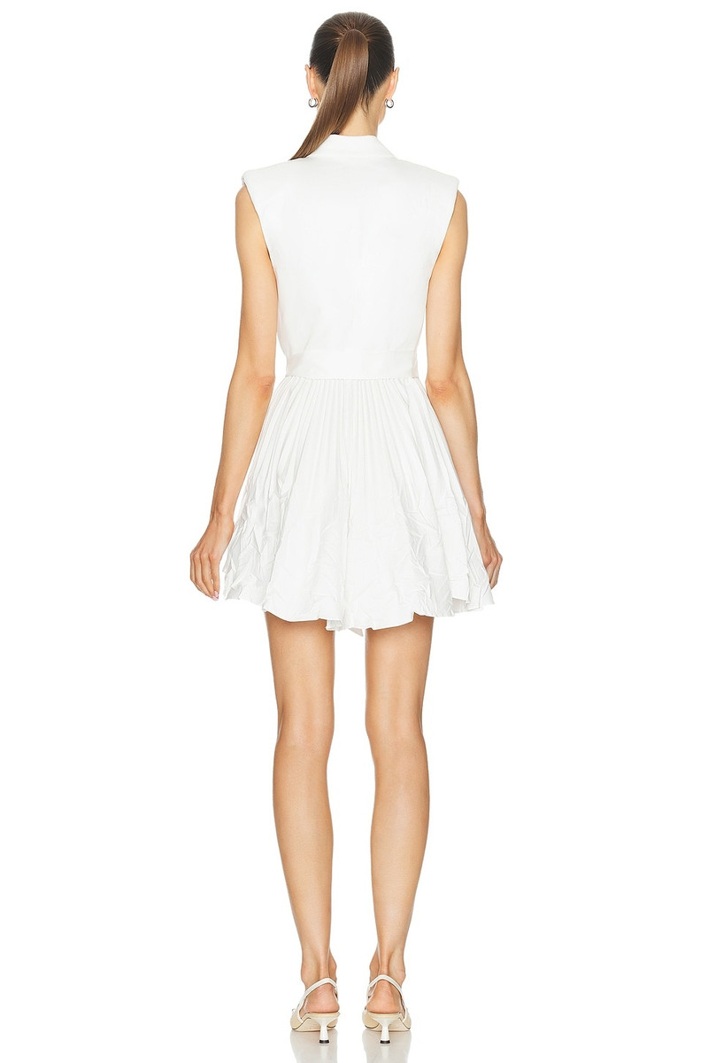 ALEXIS Cyrus Dress outlook