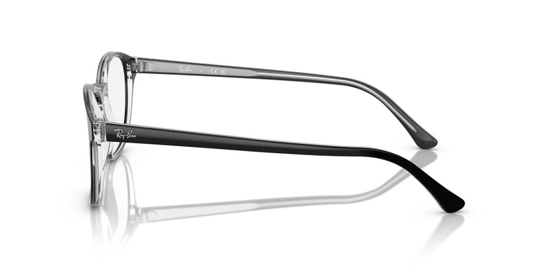 RB5417 OPTICS 5