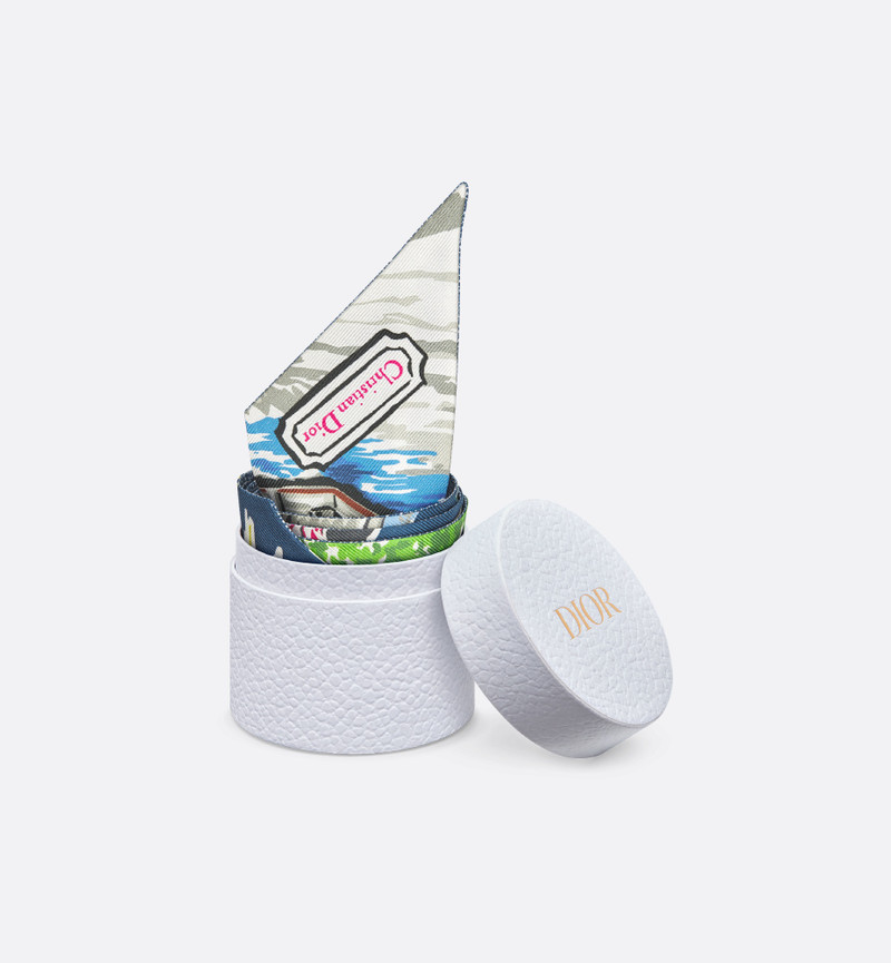 Dior Souvenir Mitzah Scarf 3