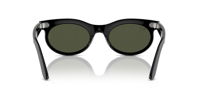 WAYFARER OVAL 6