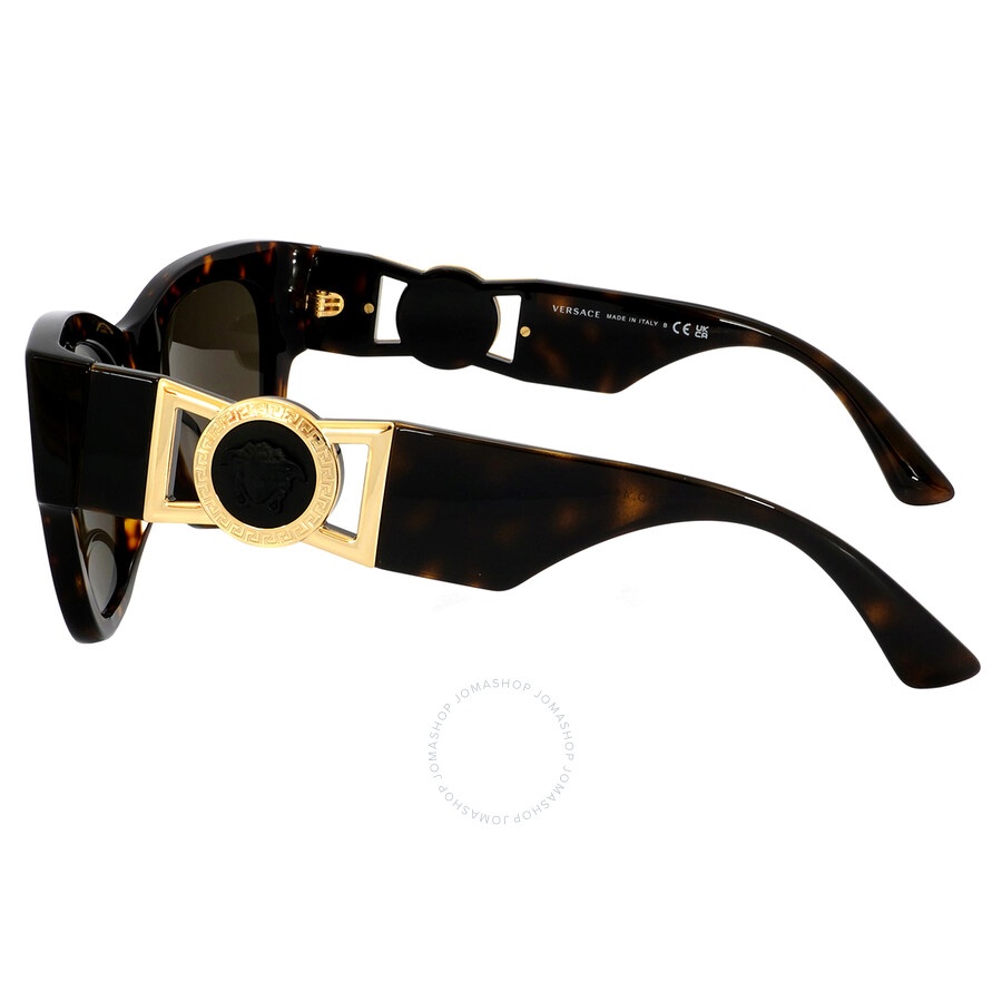 Versace Brown Cat Eye Ladies Sunglasses VE4415U 108/3 52 - 4