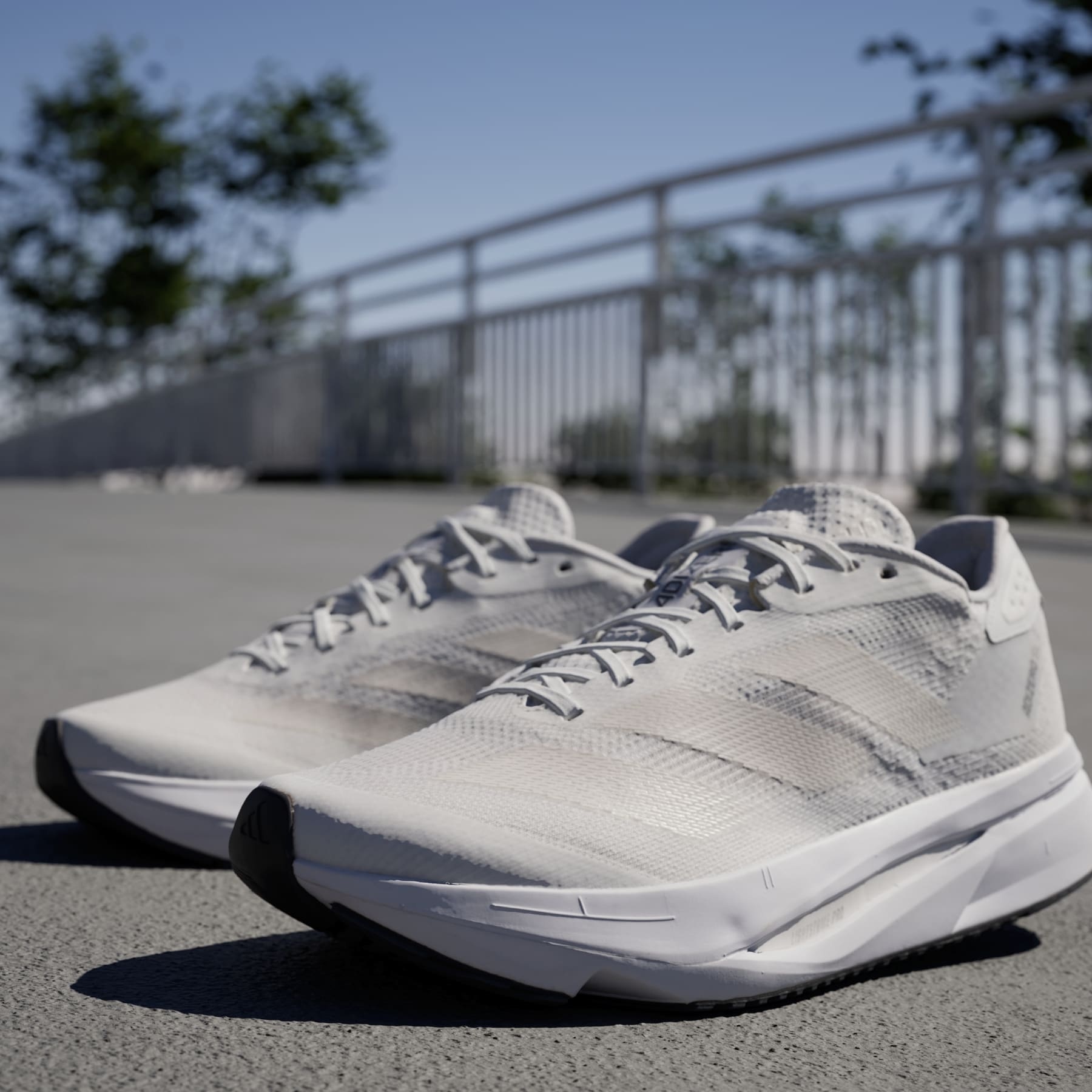 Adizero SL2 Running Shoes - 8