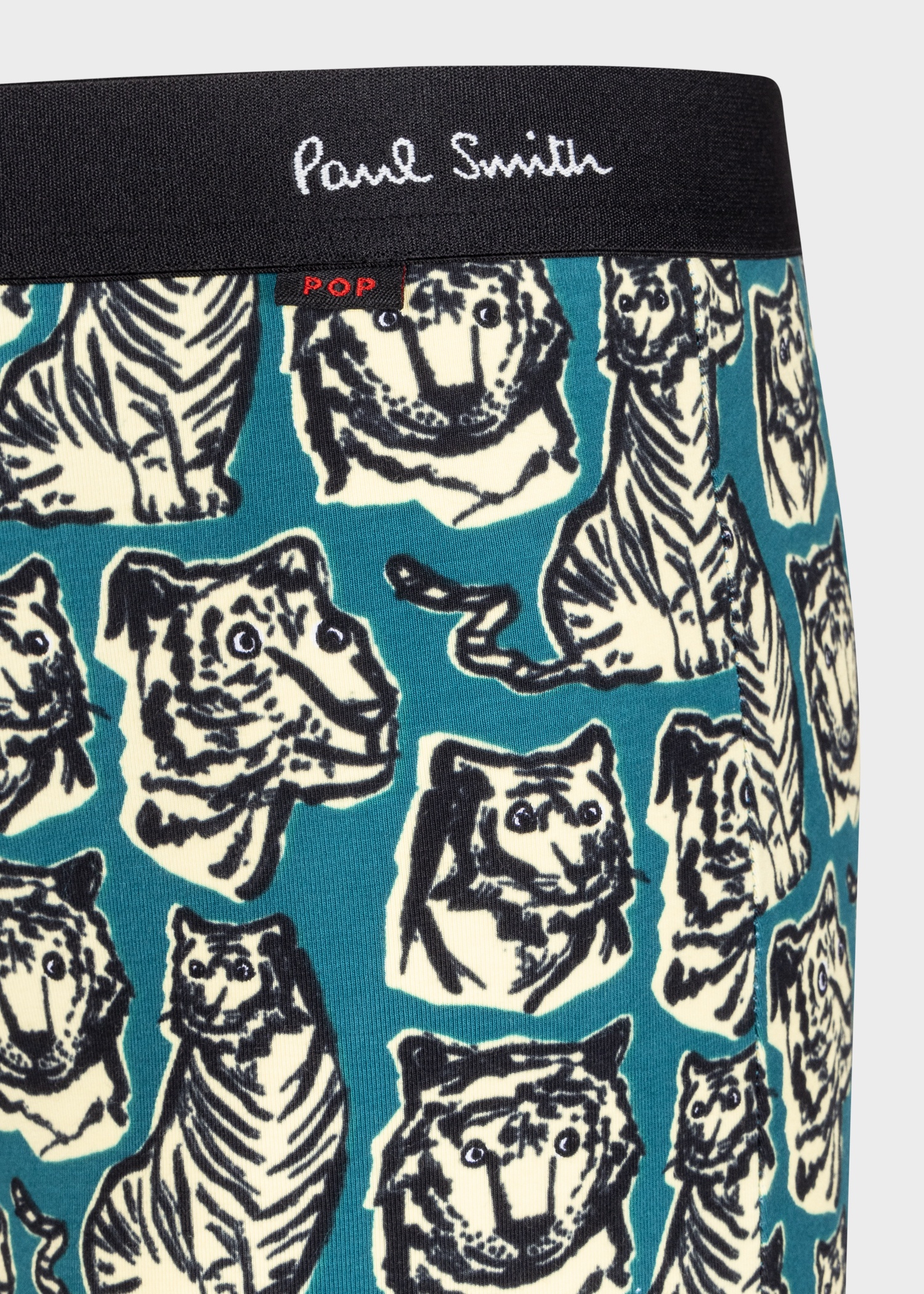 Teal 'Tiger' Print Boxer Briefs - 3