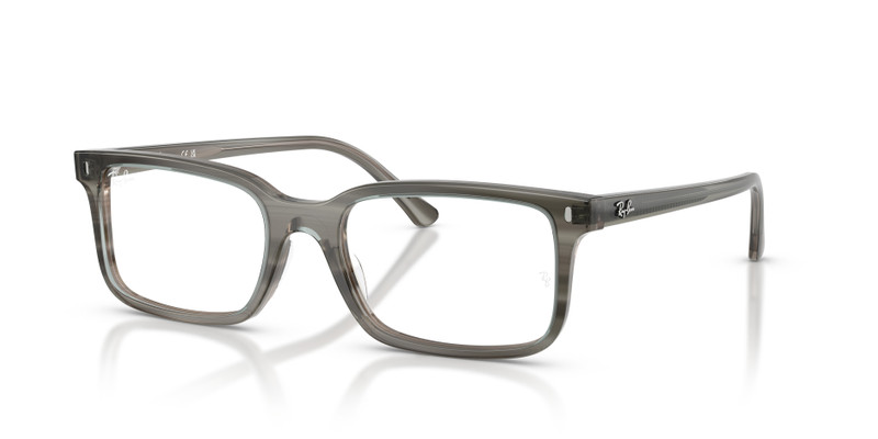 RB5445 OPTICS 1