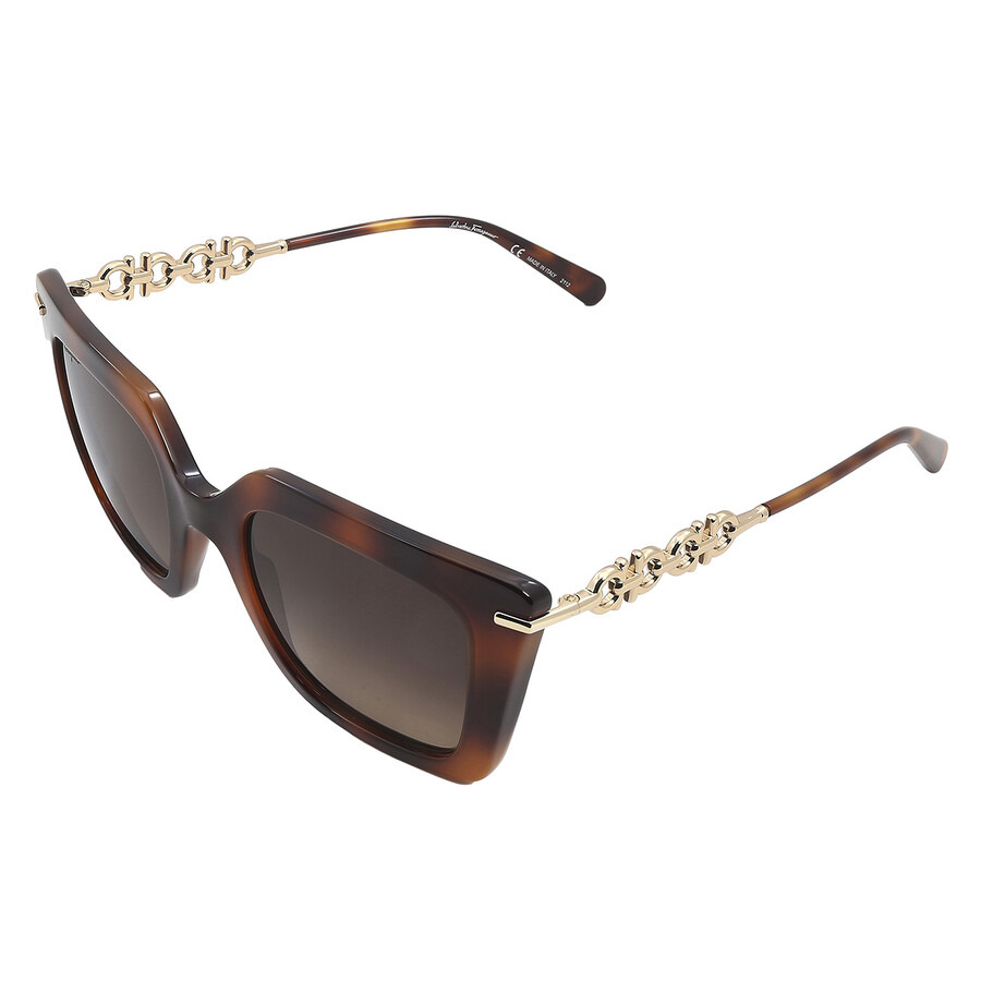 Salvatore Ferragamo Brown Gradient Butterfly Ladies Sunglasses SF1041S 238 51 - 5