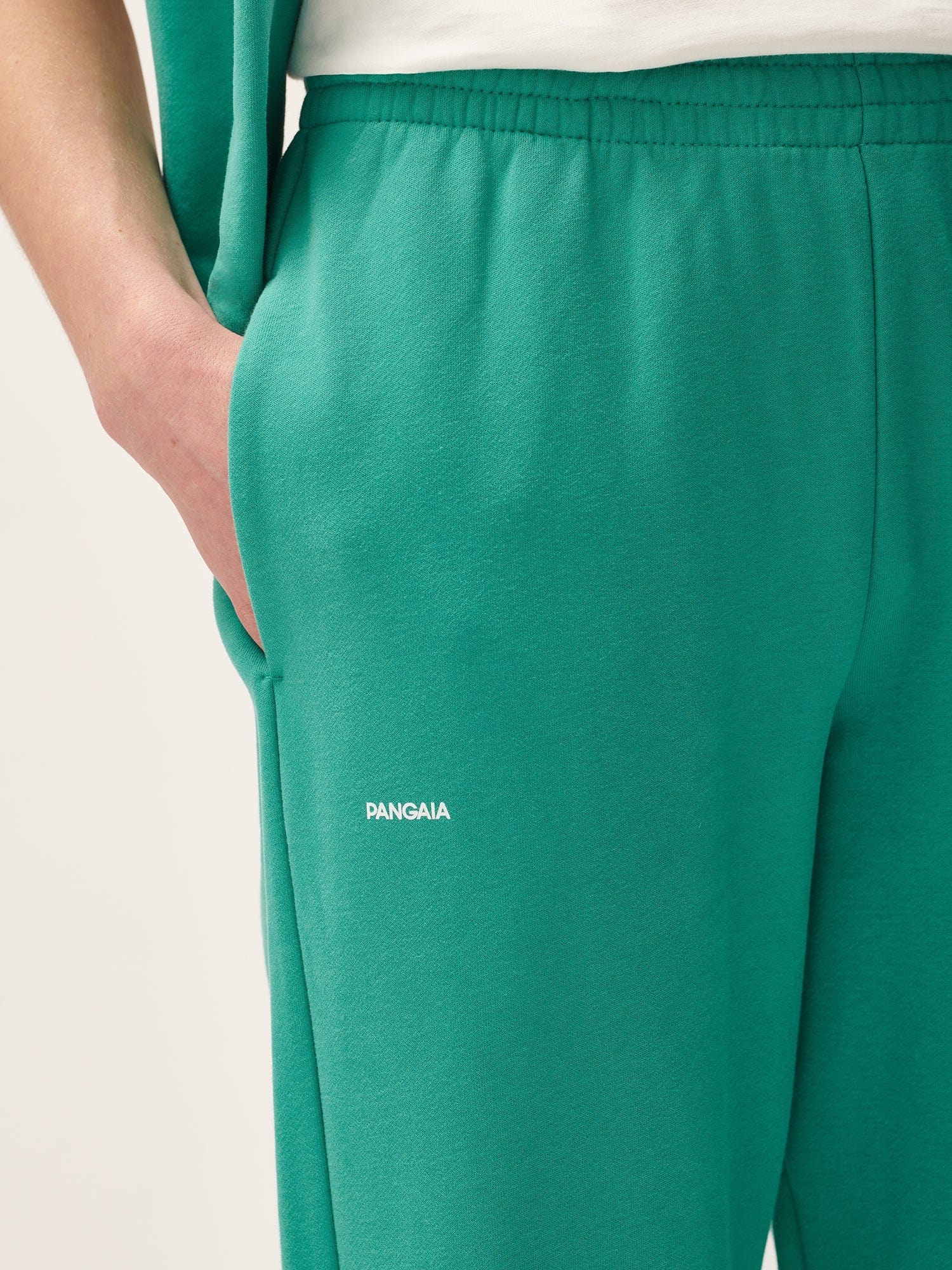 Womens 365 Midweight Track Pants - Mangrove-Turquoise - 5