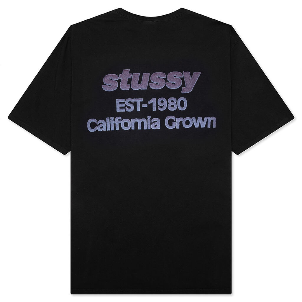 Stüssy CALIFORNIA GROWN PIGMENT DYED TEE - BLACK | REVERSIBLE