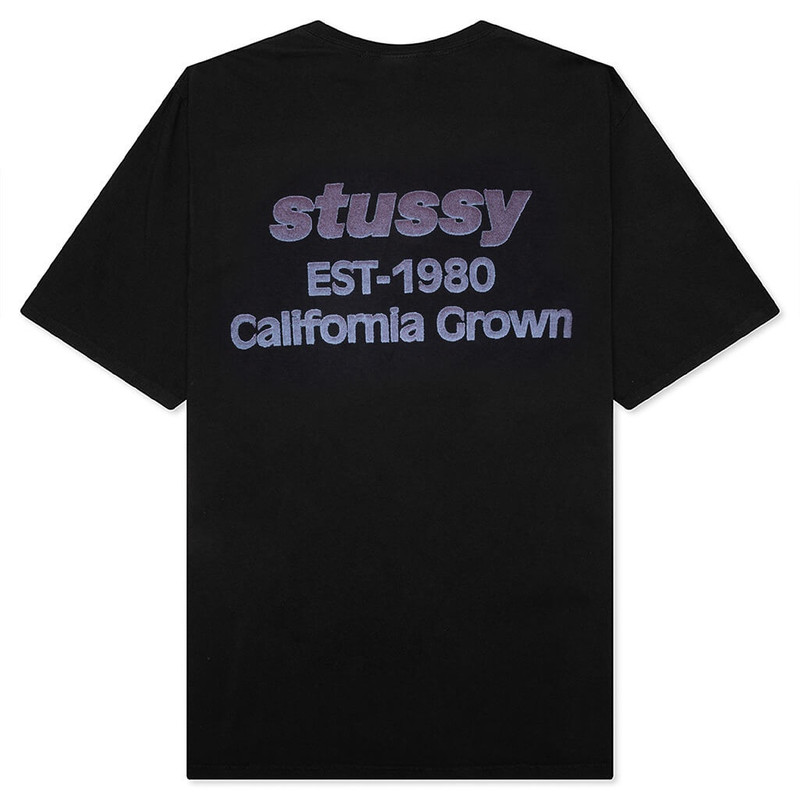 Stüssy CALIFORNIA GROWN PIGMENT DYED TEE - BLACK outlook