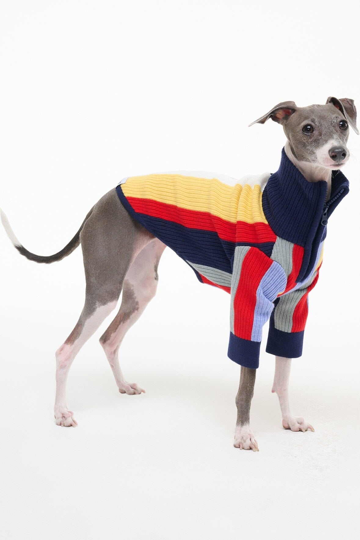 STAUD PET HAMPTON SWEATER MARKET STRIPE - 6