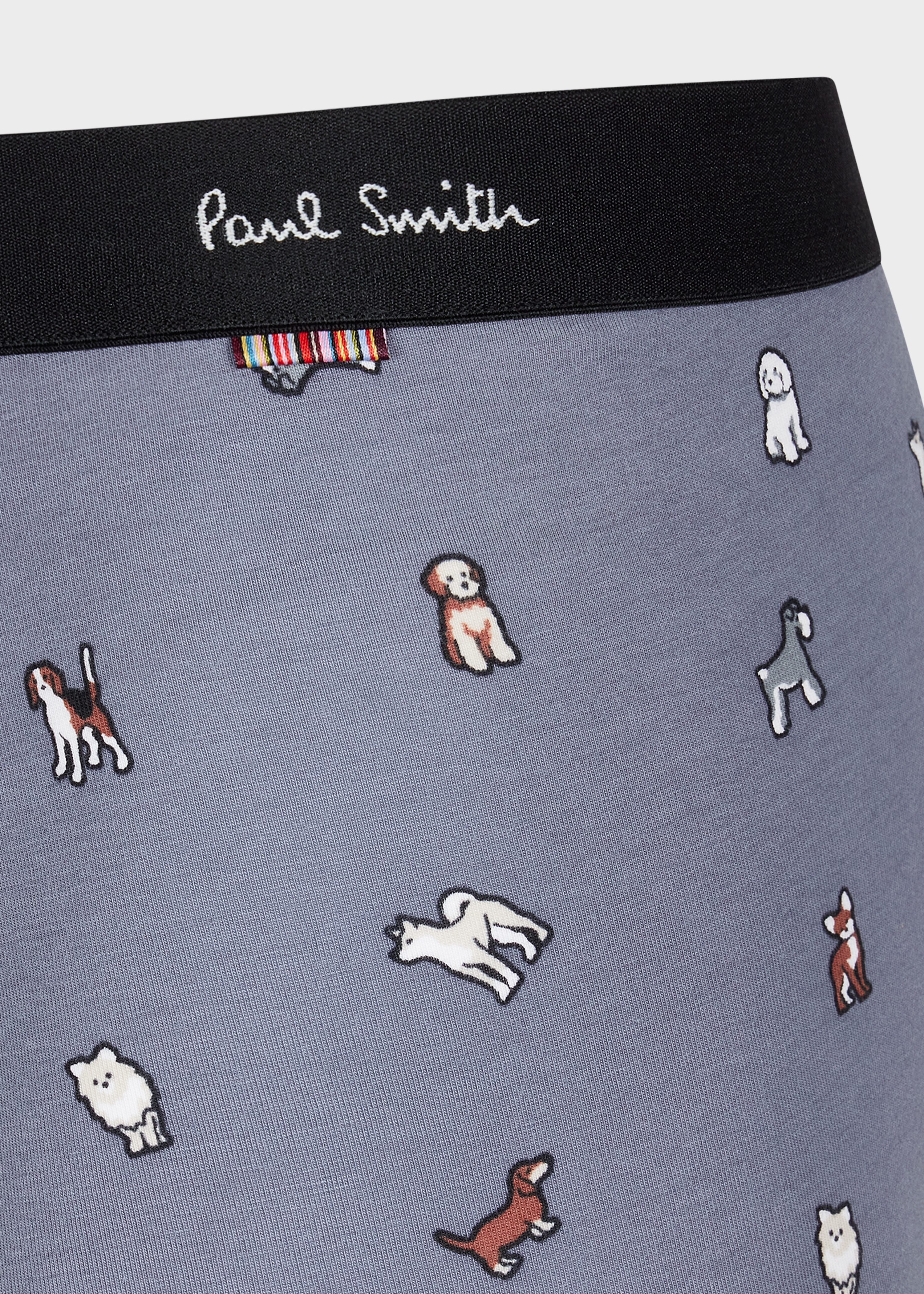 Light Blue 'Japan Dogs' Print Boxer Briefs - 3