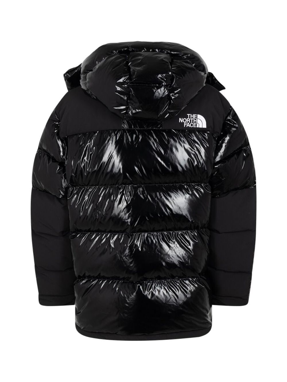 x TNF 700-fill down parka - 2