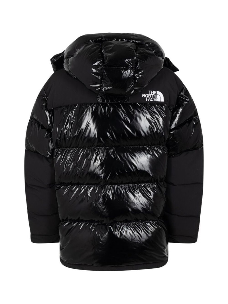 Supreme x TNF 700-fill down parka outlook