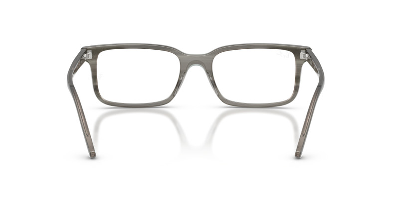 RB5445 OPTICS 6