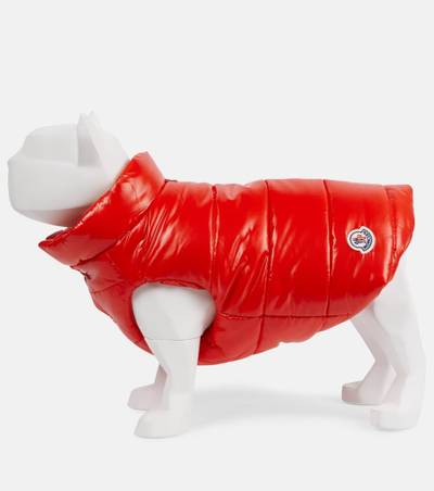 Moncler x Poldo Dog Couture dog coat outlook