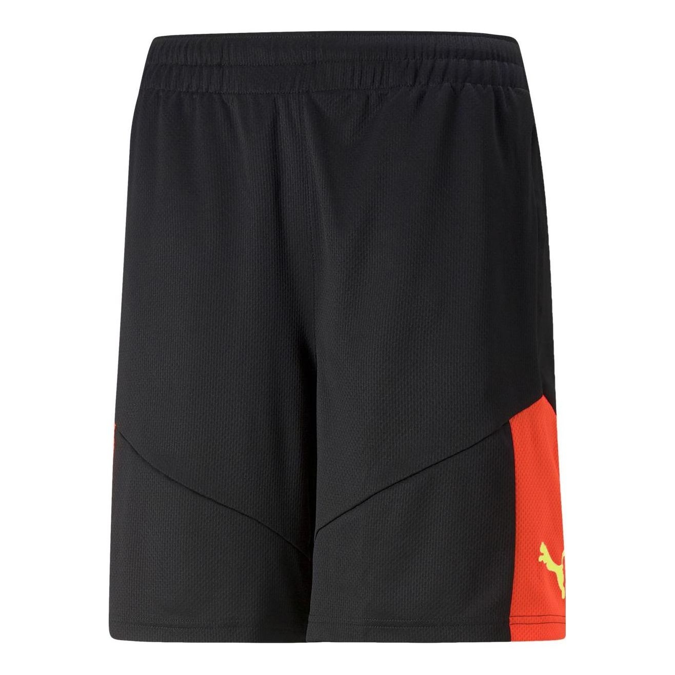 PUMA Individual FINAL Shorts 'Black' 658042-48 - 2