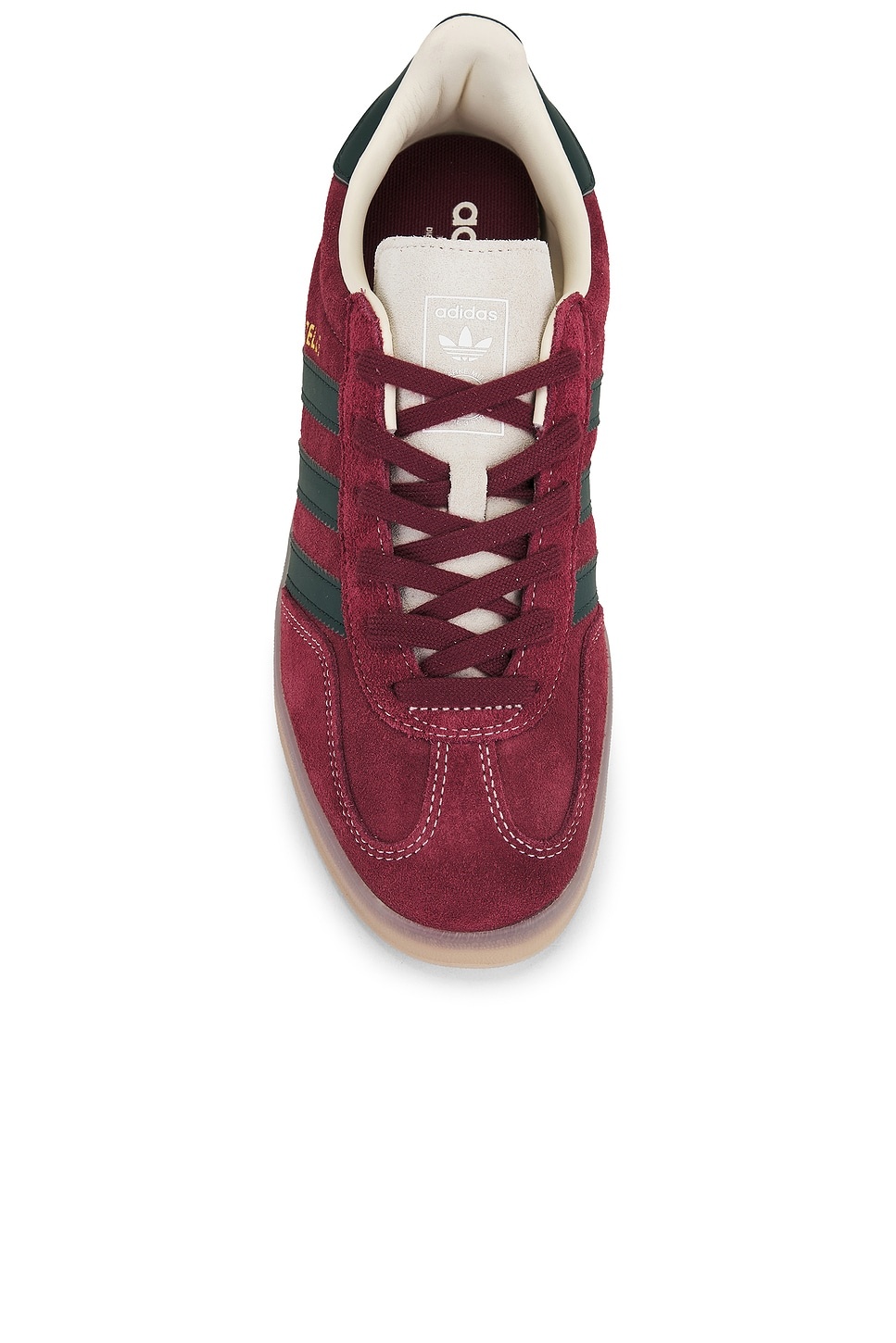 Gazelle Indoor - 4