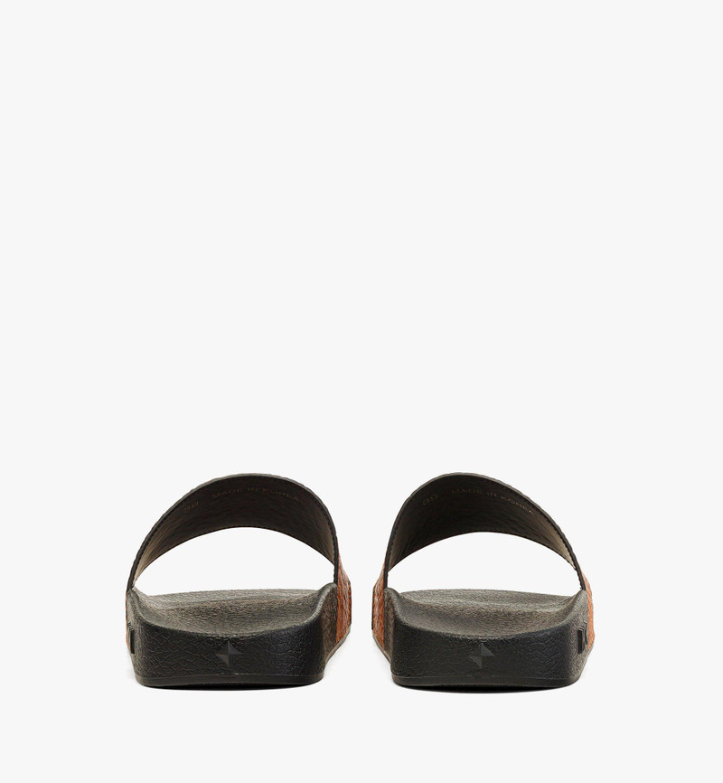 Maxi Visetos Slides 3