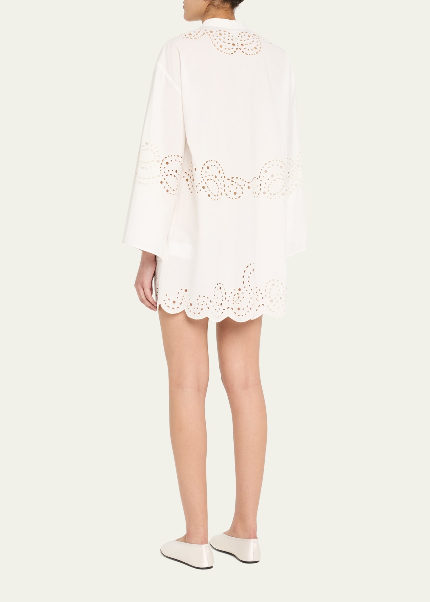 Sarina Embroidered Long-Sleeve Mini Dress - 3