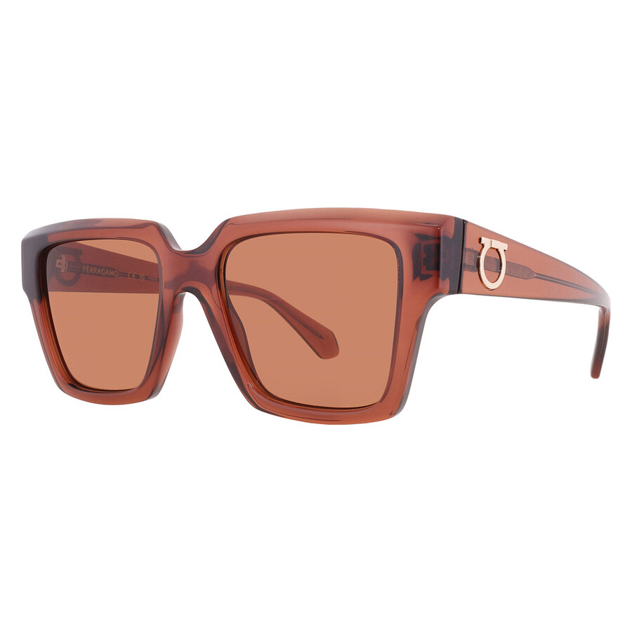 Ferragamo Brown Square Ladies Sunglasses SF2014S 232 54 - 2