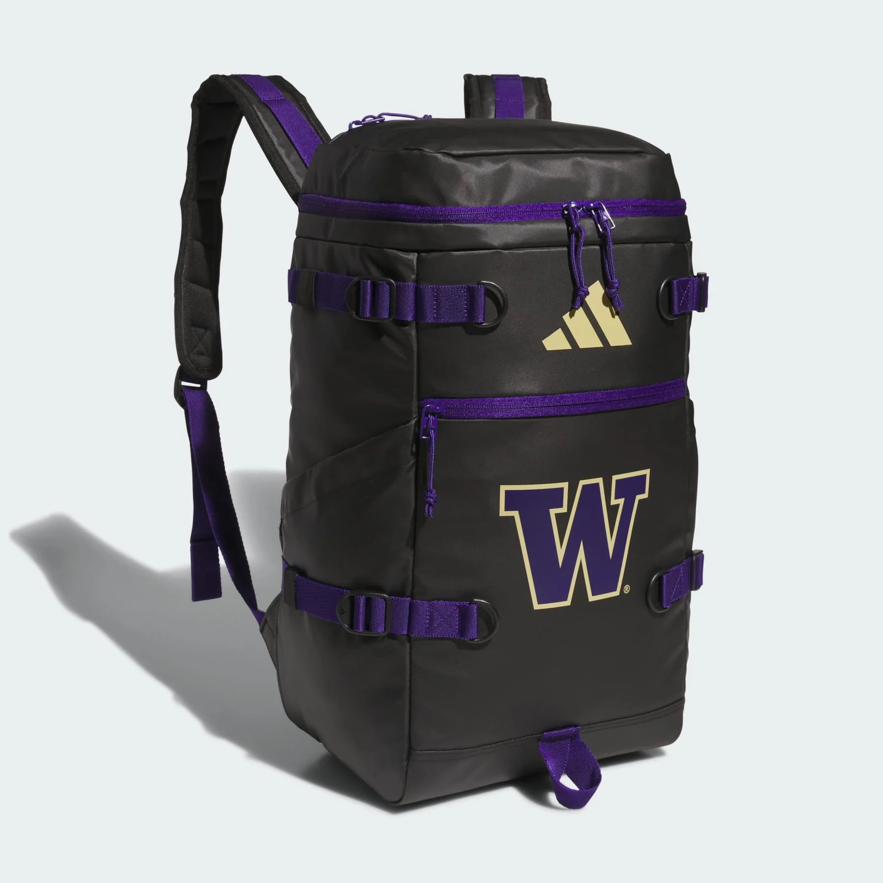 Collegiate Vista Backpack - 1