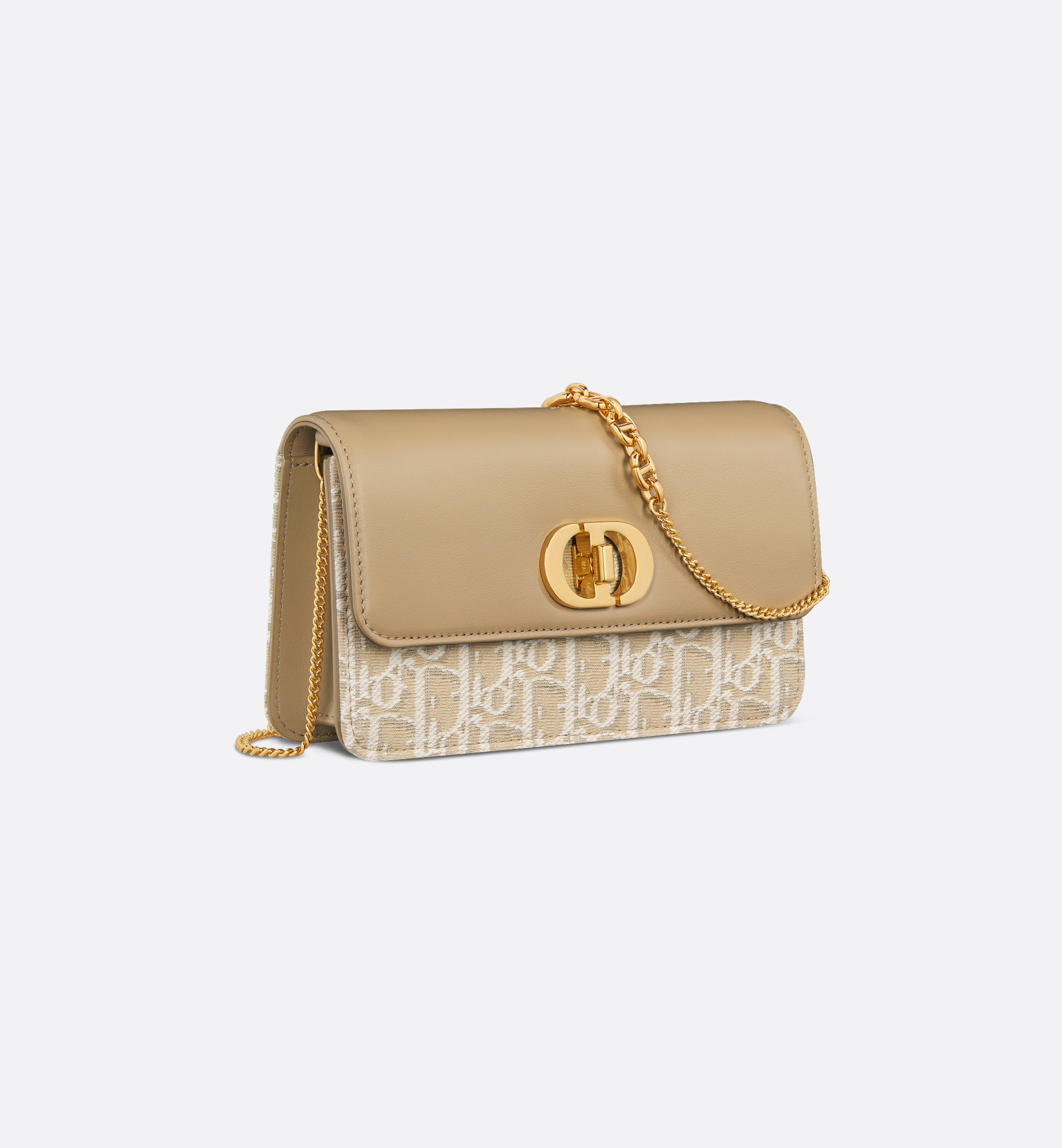 Miss Caro Pouch with Chain - 2